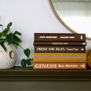 4 Brown and Dark Brown Book spines for Interior Decor